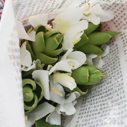 周末给客户问候短信