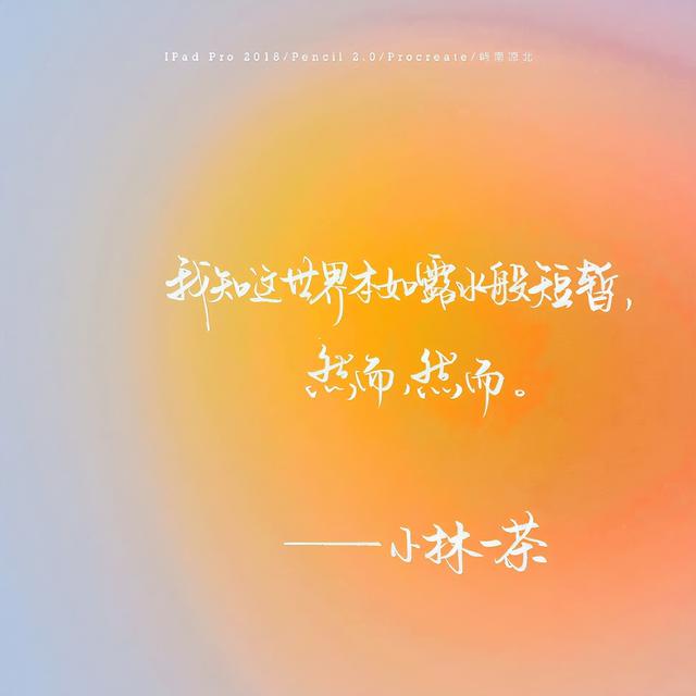 暗恋都没拥有过何来失去情感文案(失去伤感文案)