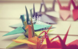 一句简短又暖心的话