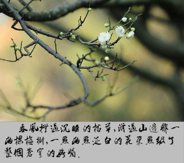 爱情语录经典短句