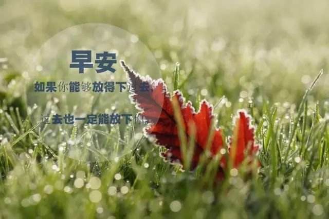 分手情感语录长篇