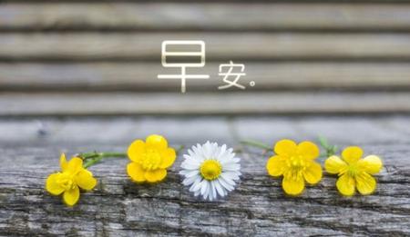 微商语录早安