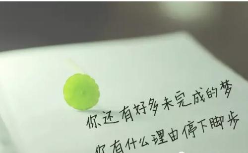 名句赏析答题步骤