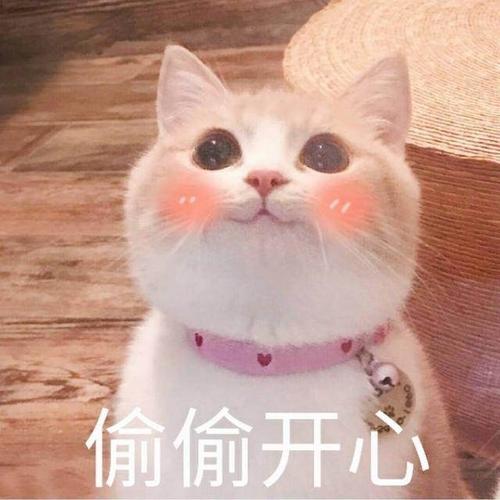 生活说说感悟生活的心情短语