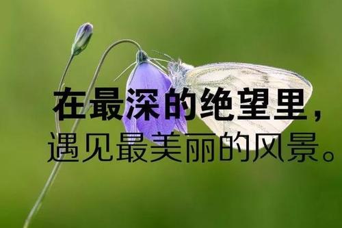 伤心的励志句子简短经典语录