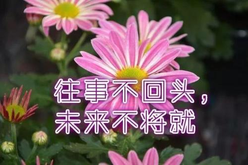 经典语录 励志简短6字以内