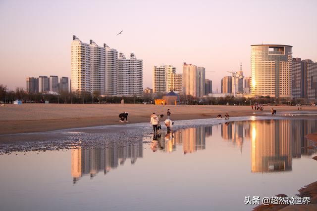情感文案馆海边视频(伤感海边文案)