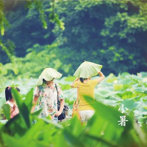 三伏天夏季问候短信