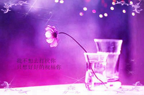 qq空间个性超拽说说49句
