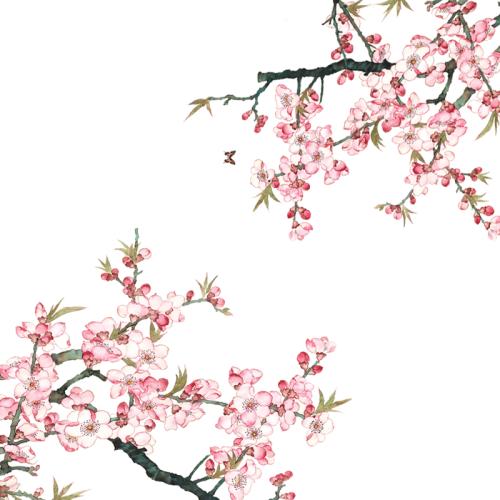 经典语录伤感人生感悟