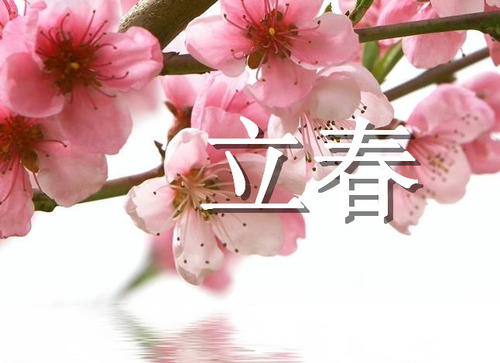 名句摘抄加出处