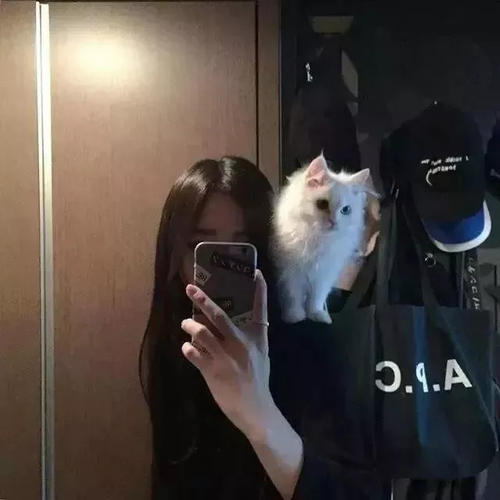 女人励志名言奋斗的句子