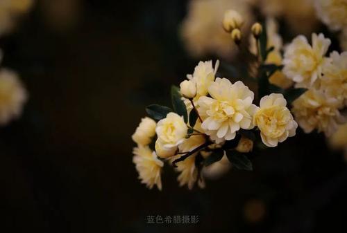 生命的名言名句最新版的范文