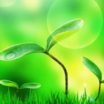写给傻傻的自己的说说