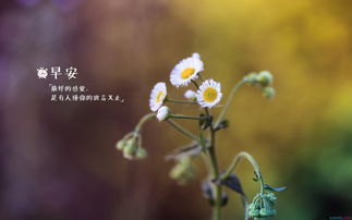 二年级上册经典名句