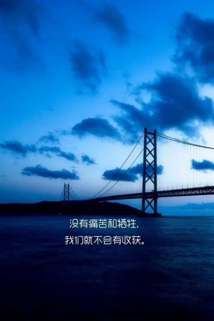 最温暖的陪伴经典语录