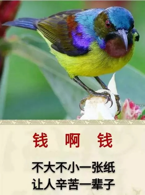 做一个充满正能量的人好句