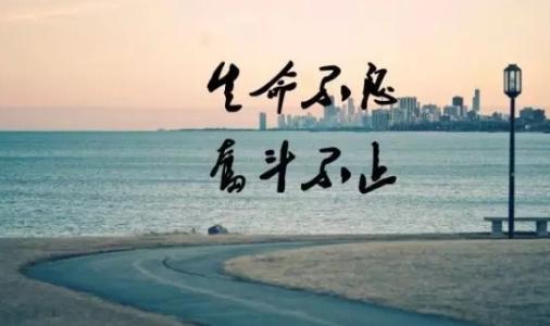 世界名人金句经典语录