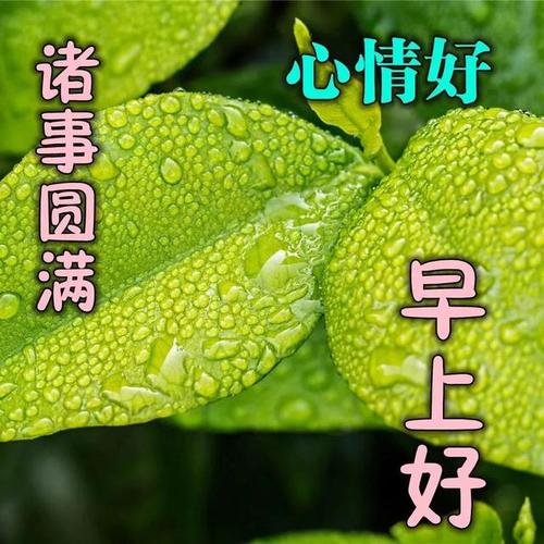 微信早安心语正能量公众号