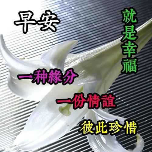 微信早安心语正能量公众号