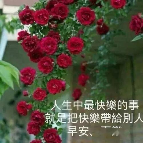 微信早安心语正能量公众号