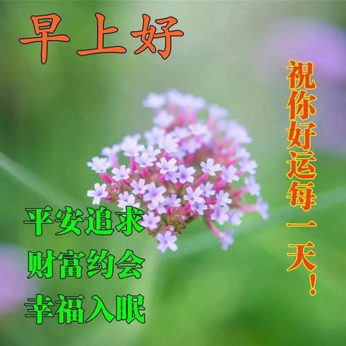 别人说早上好你应该怎么回呢