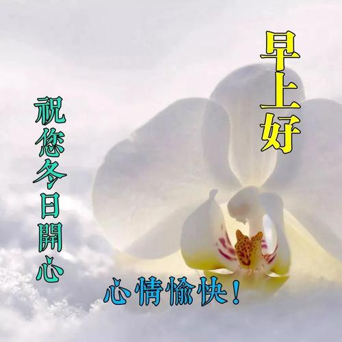高情商的人说早上好语句