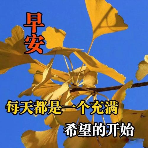 对方说早上好怎么比较有情商回复