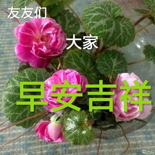 对方说早上好高情商应该怎么回答