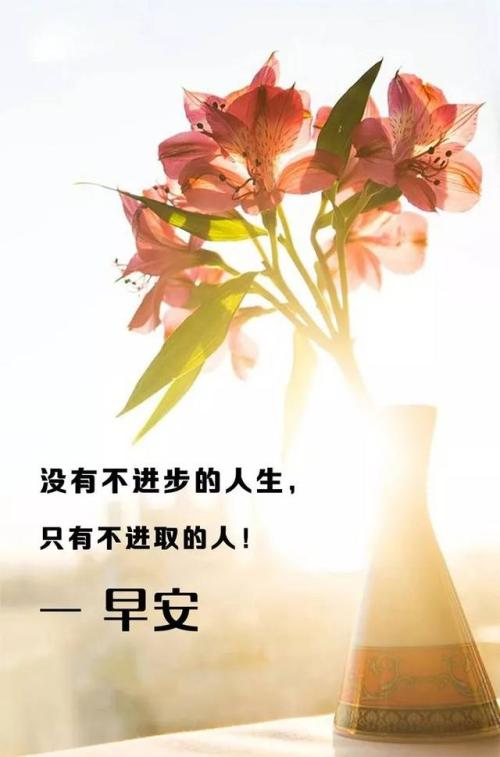 优美句子摘抄加赏析