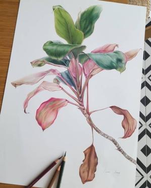嘴笨的人怎样学会说话