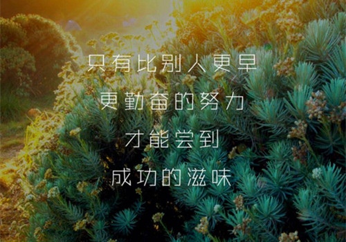 早上发朋友圈经典说说36句