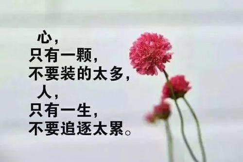 伤感语录看了想哭的500字