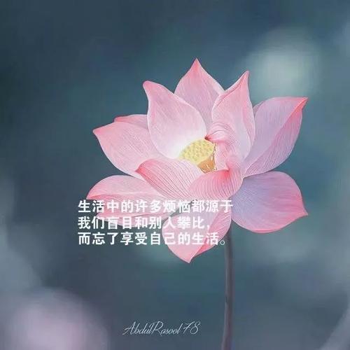 一句话人生感悟简短心情说说句子
