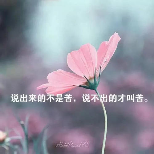 一句话人生感悟简短心情说说句子