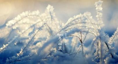 精神小伙语录顺口溜