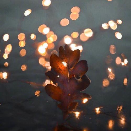 下雨天问候朋友的短信
