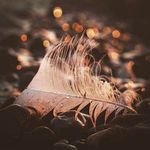 下雨天问候朋友的短信
