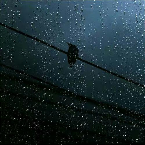 下雨天顾客问候短信