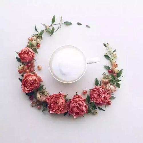 作文优美句子摘抄大全