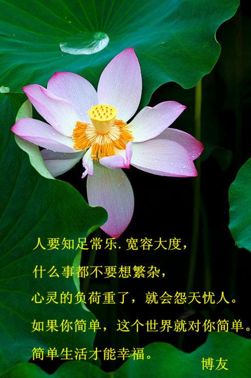 文学作品中富有哲理的名言