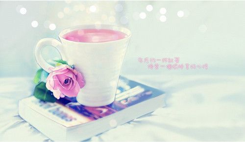 减肥毒鸡汤经典语录