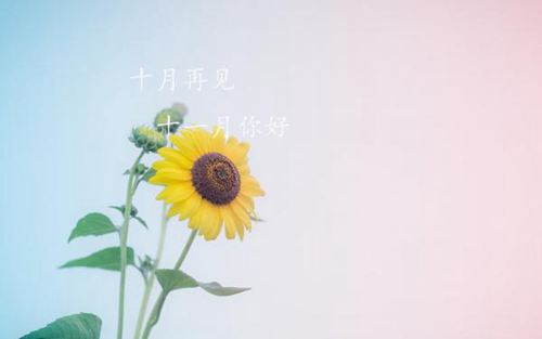 送别十月，拥抱十一月的励志说说