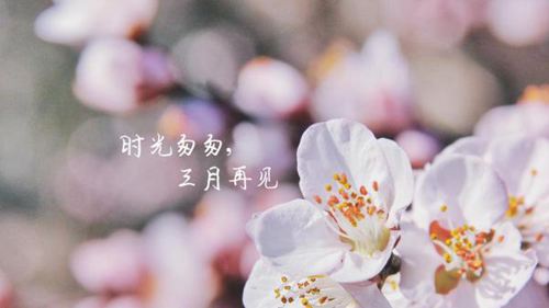 告别三月,迎接四月的短小精悍励志说说