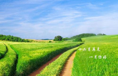 道一声十二月再见,说一声一月你好的励志说说
