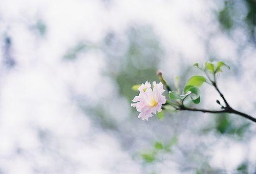 2021新年励志正能量的句子