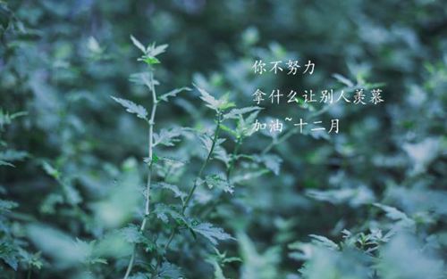 十二月月初愿你不忘初心，一如既往的励志说说