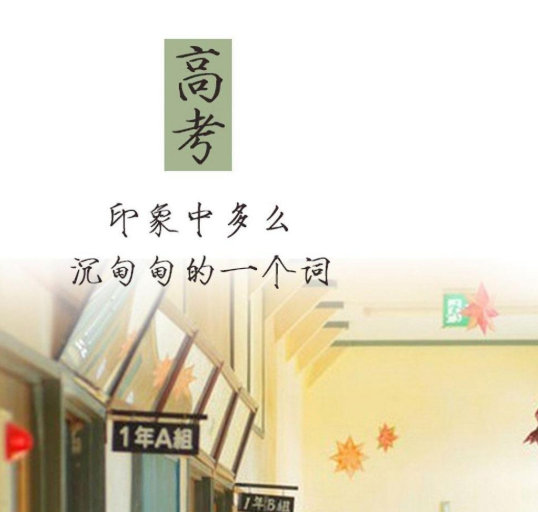 冲刺高考励志句子,看完鸡血满满！