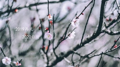 2020即将过去,愿2020不忘初心砥砺前行的励志说说