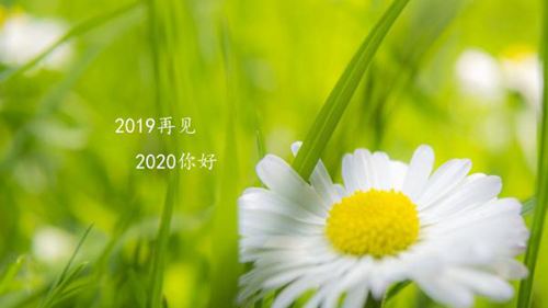2020即将结束，遥望2020的励志说说